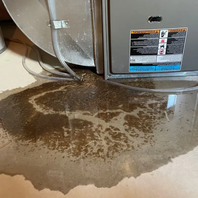 Pipe Burst and Leak Restoration in Fountainhead-Orchard Hills, MD