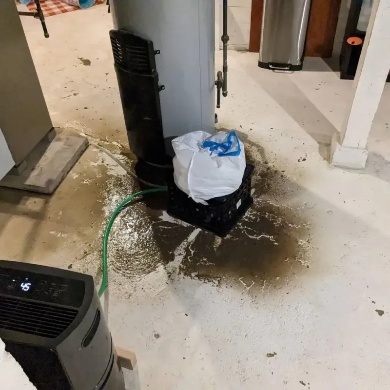 Sewage Backup Cleanup Service in Fountainhead-Orchard Hills, MD